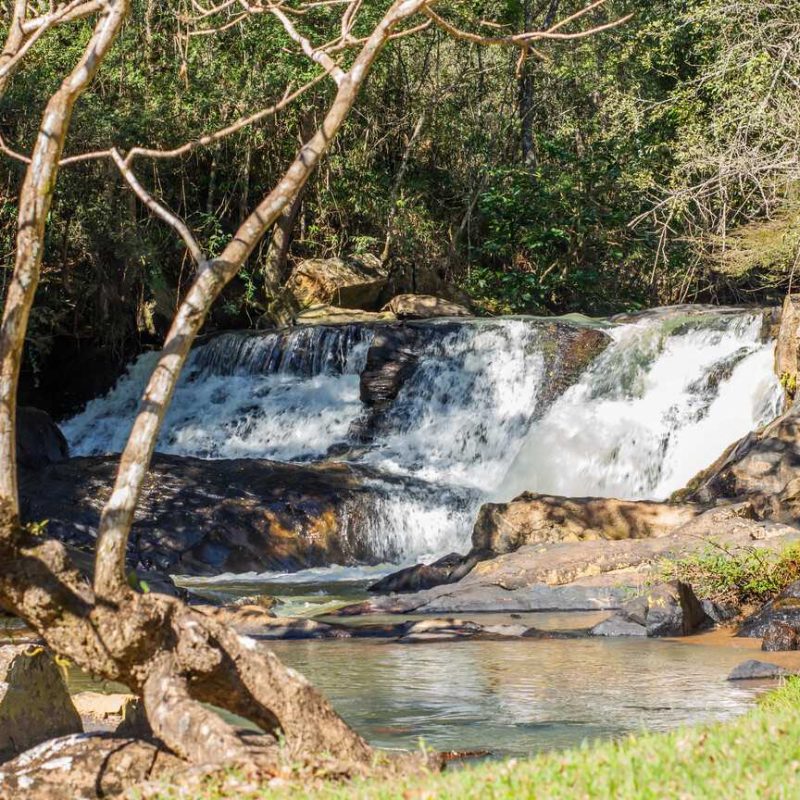 canto da floresta ecoresort (141)